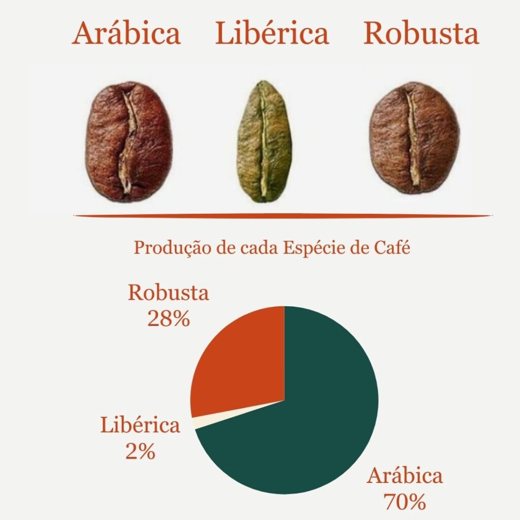 Produção de café arabica robusta liberica